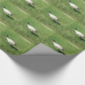 Ibis Cadeaupapier (Hoek)