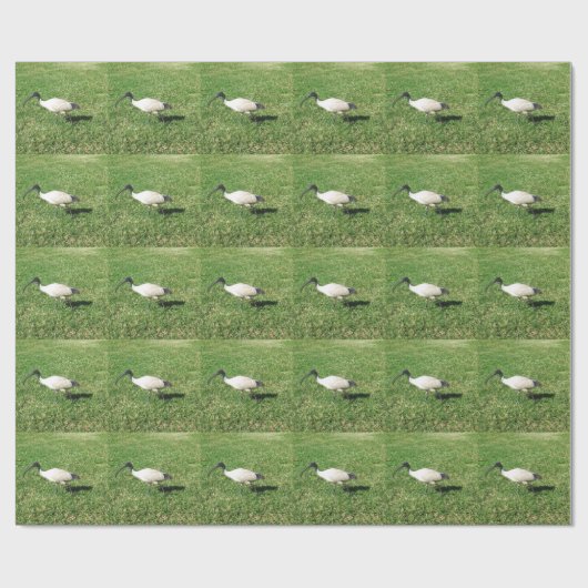 Ibis Cadeaupapier (Vlak)