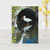 Ibis en het SneeuwWenskaart van de Aigrette Kaart (Gele Bloem)