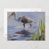 Ibis in Grassy Marsh Briefkaart (Voorkant / Achterkant)