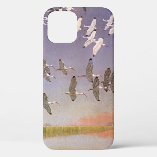 Ibis-kudde over watergebieden,  vogels Case-Mate iPhone case (Achterkant)