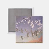 Ibis-kudde over watergebieden,  vogels magneet (Voorkant / Achterkant)