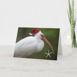 Ibis met kerstmuts feestdagen kaart
