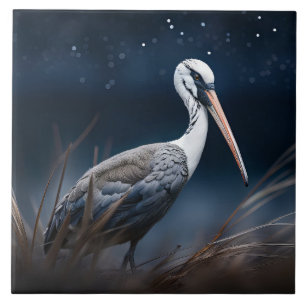 Ibis om middernacht tegeltje