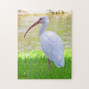 Ibis op foto van één been legpuzzel