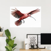 Ibis spreidende vleugels poster (Thuiskantoor)