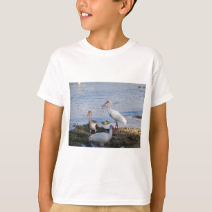 Ibis vogels op de kust van Florida Bay T-shirt