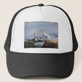 Ibis vogels op de kust van Florida Bay Trucker Pet