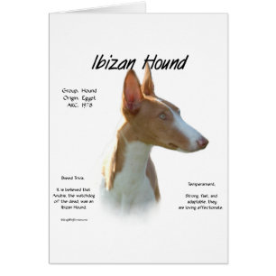 Ibizan Hound History Design