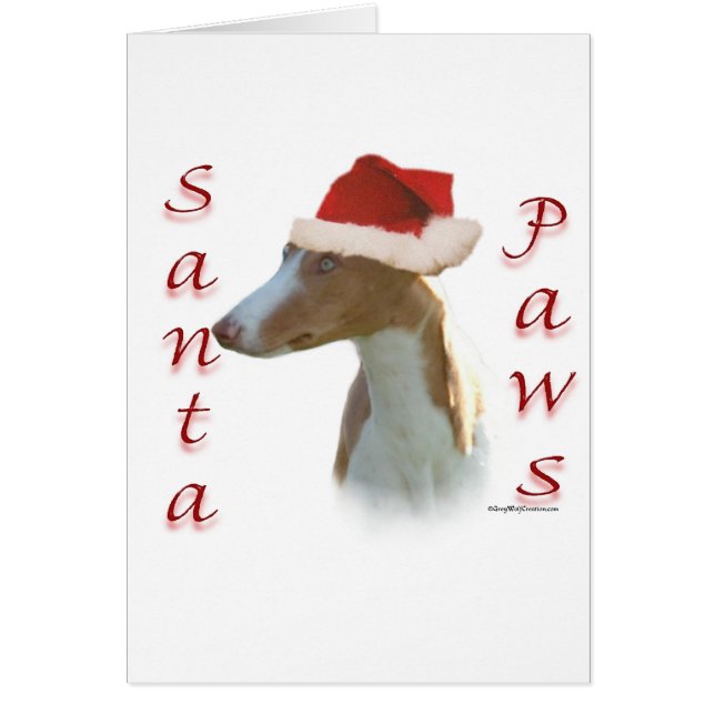 Ibizan Hound Père Noël Paws (Devant)