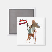 Ibizan Hound Trio 2 - Magneet (Voorkant / Achterkant)
