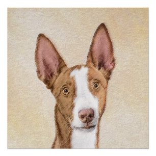 Ibizan Houndschilderen - Kute Original Dog Art Perfect Poster