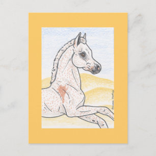 Ibn Shai Hulud Briefkaart