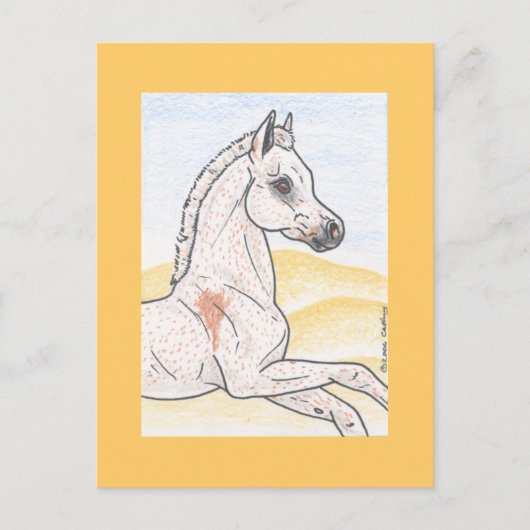 Ibn Shai Hulud Briefkaart (Voorkant)