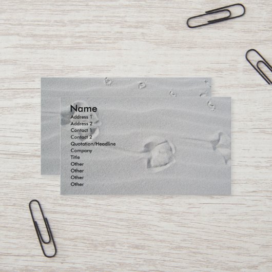 IBSP Cartes de visite des traces de mouettes (Devant/Arrière en situation)