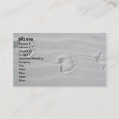 IBSP Cartes de visite des traces de mouettes (Devant)