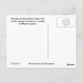 IBSP Jetty Spider Briefkaart (Achterkant)