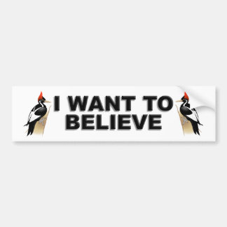 IBWO: Ik wil geloven Bumpersticker