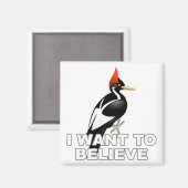 IBWO: Ik wil geloven Magneet (Voorkant / Achterkant)