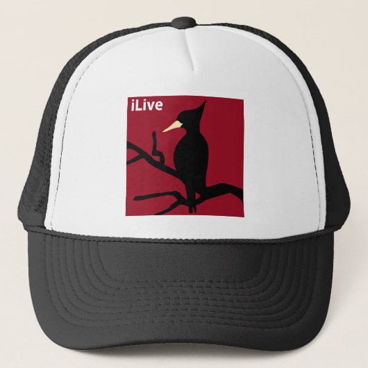 IBWO: iLive Trucker Pet (Voorkant)