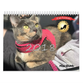 iCat Forever Contest Calendar Kalender
