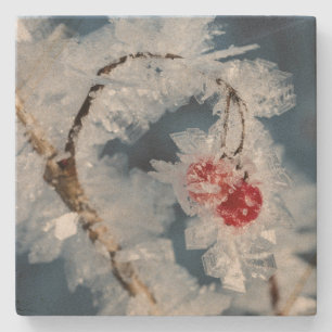 Ice Berries Stenen Onderzetter