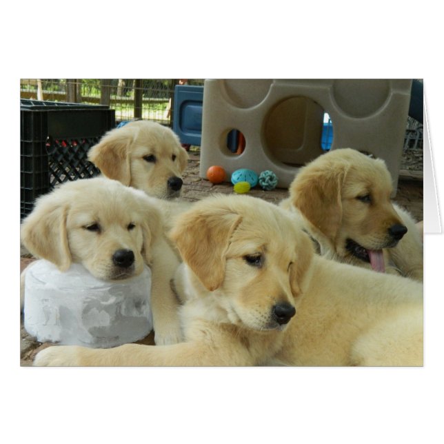 Ice Block Card (Voorkant Horizontaal)