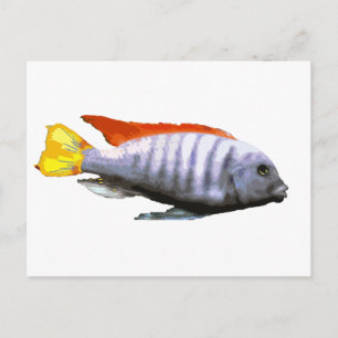 Ice Blue Zebra Cichlid Briefkaart