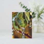 Ice Briefkaart (Staand voorkant)