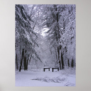 Ice Cathedraal 2 ~ afdruk Poster