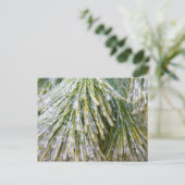 Ice Coated Pine Needles Winter Botanisch Briefkaart (Staand voorkant)