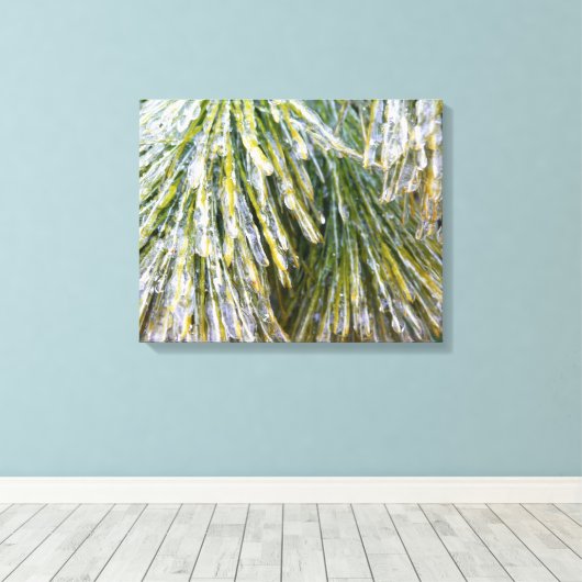 Ice Coated Pine Needles Winter Botanisch Canvas Afdruk (Insitu (Houten vloer))