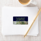 Ice Coated Pine Needles Winter Botanisch Etiket (Insitu)