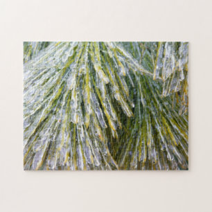 Ice Coated Pine Needles Winter Botanisch Legpuzzel