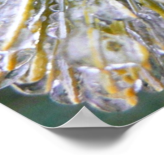 Ice Coated Pine Needles Winter Botanisch Poster (Hoek)