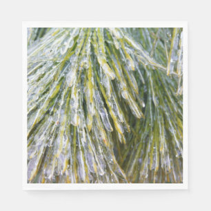 Ice Coated Pine Needles Winter Botanisch Servet