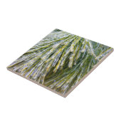 Ice Coated Pine Needles Winter Botanisch Tegeltje (Zijkant)