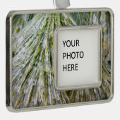 Ice Coated Pine Needles Winter Botanisch Verzilverd Kader Ornament (Rechts)