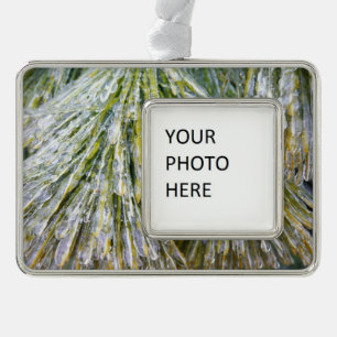 Ice Coated Pine Needles Winter Botanisch Verzilverd Kader Ornament