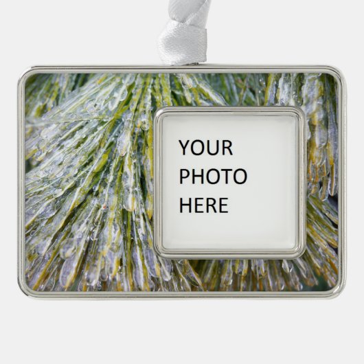 Ice Coated Pine Needles Winter Botanisch Verzilverd Kader Ornament (Voorkant)