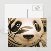 Ice Covered Panda Sepia Briefkaart (Voorkant / Achterkant)