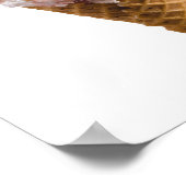 Ice Cream Cone Poster (Hoek)