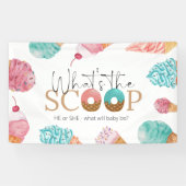 Ice Cream Gender onthullen wat de Scoop Party is Spandoek (Horizontaal)