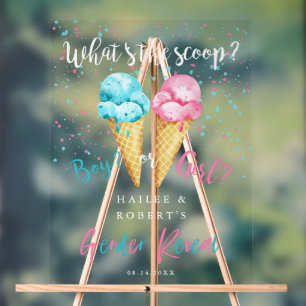 Ice Cream Gender Reveal Party Sign Acryl Bord
