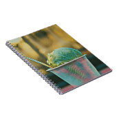 Ice cream recipe notitieboek (Rechterzijde)