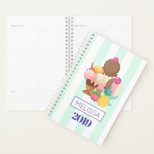 Ice Cream Scoops met Sprinkles Planner (Display)