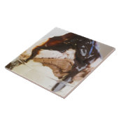 Ice crème sundae tegeltje (Zijkant)