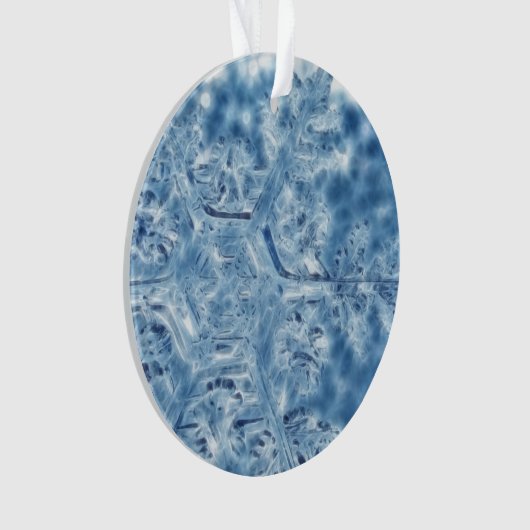 Ice Crystal Fractal Snowflake, bevroren Ornament (voorkant)