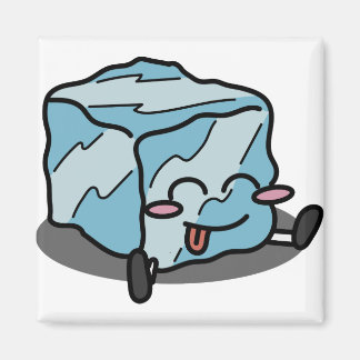 Ice Cube Dude Magneet