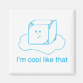 Ice Cube Magnet Magneet (Voorkant)